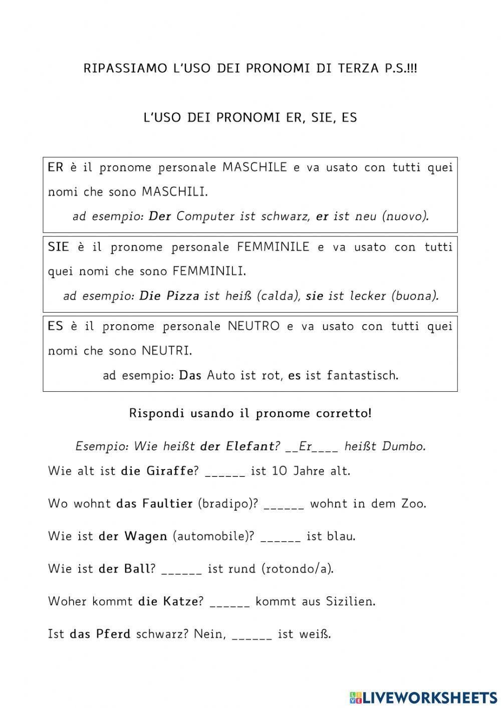 Esercizi articoli, pronomi, plurale