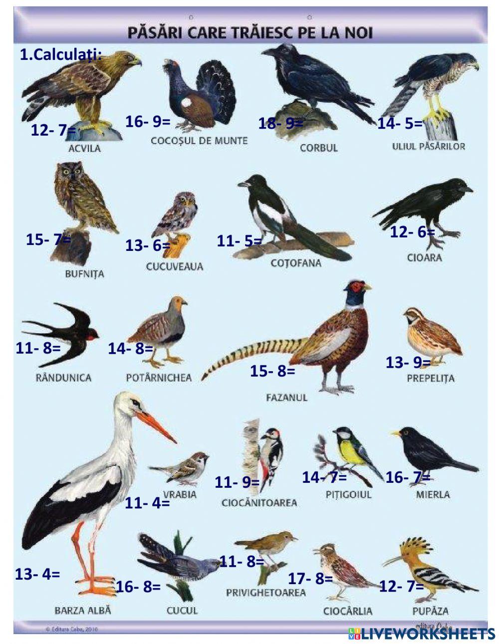 Scăderea 0-20 cu trecere peste ordin
