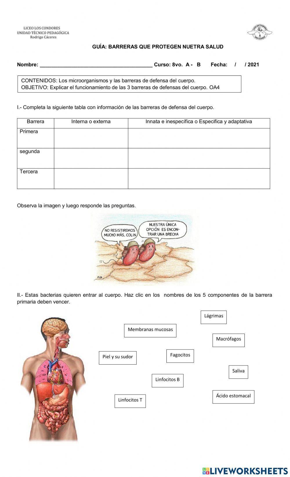 Barreras defensivas del cuerpo