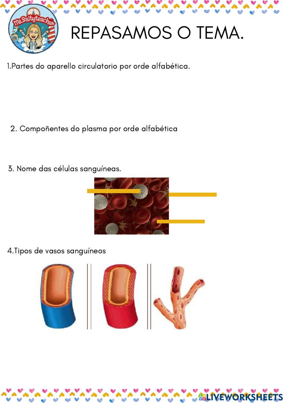 Aparello Circulatorio e excretor 5º