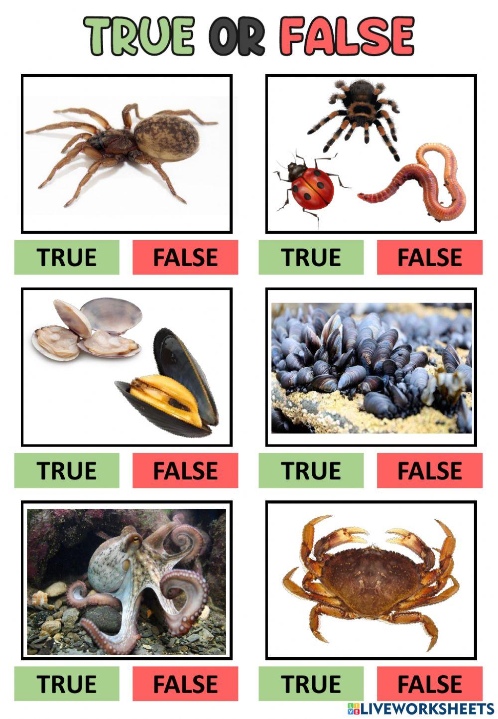 Invertebrates
