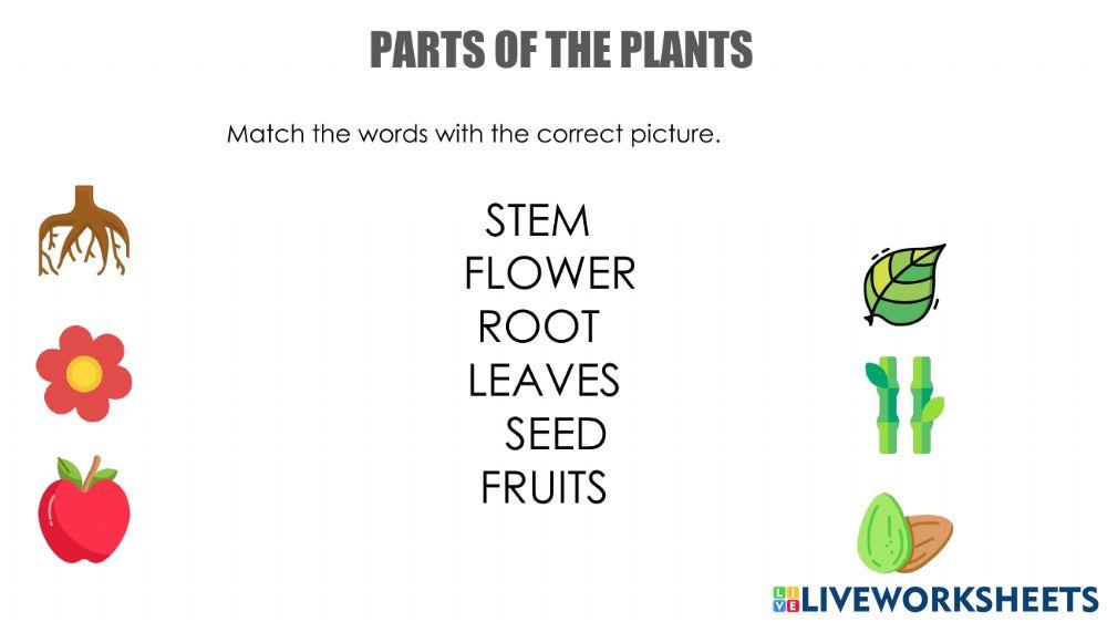Part plants