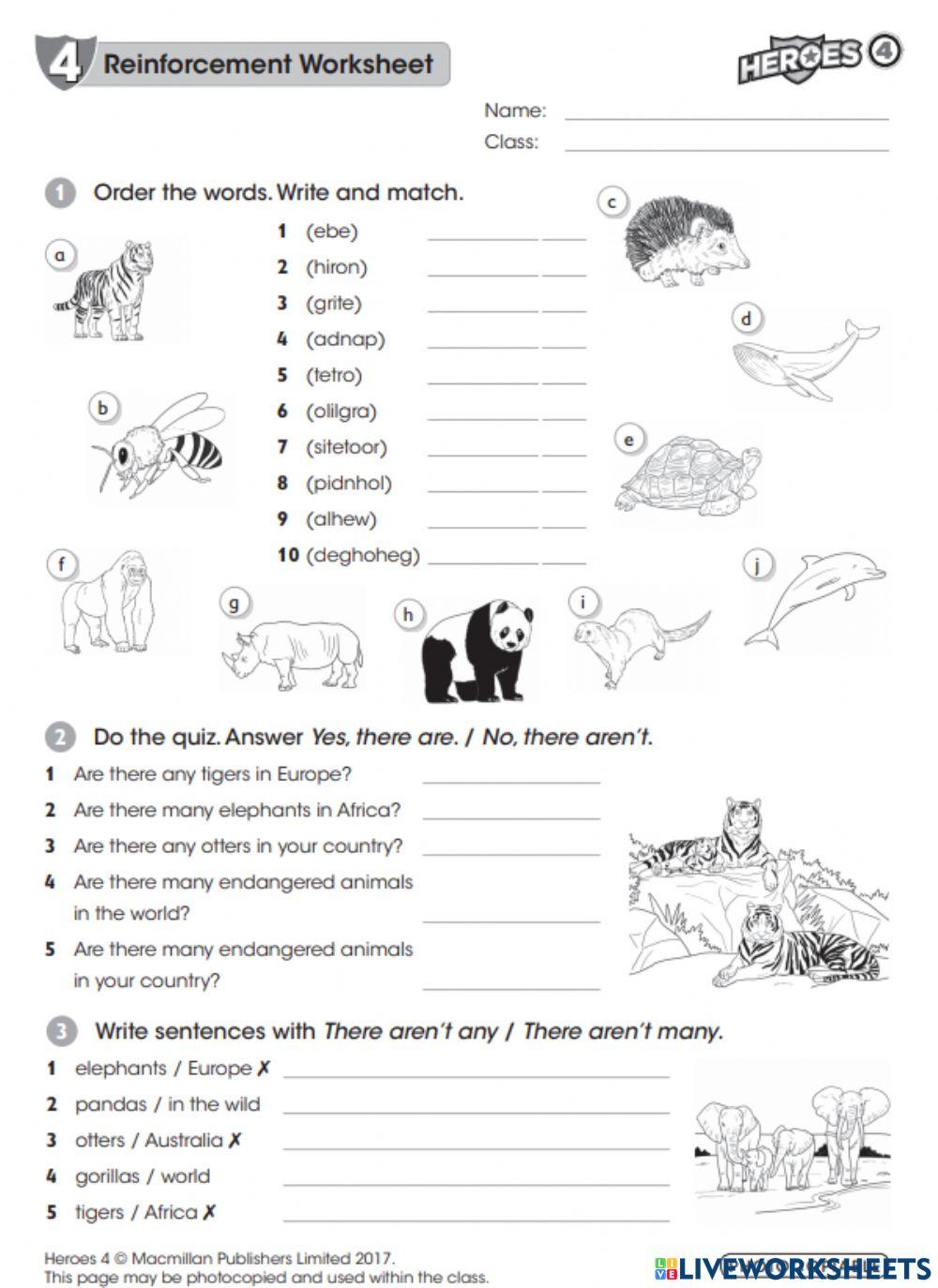 Unit 4 Reinforcement Worksheet