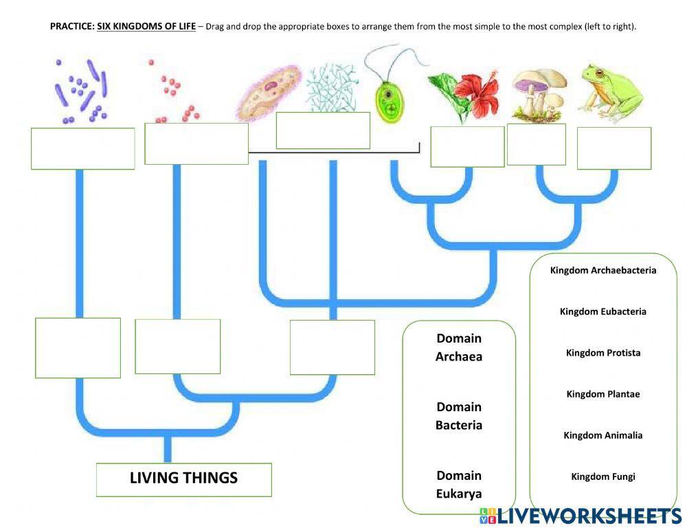 Six Kingdoms of Life