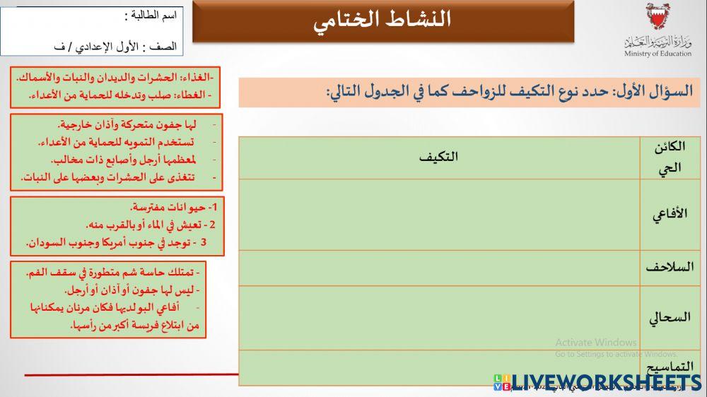 نشاط ختامي - الزواحف