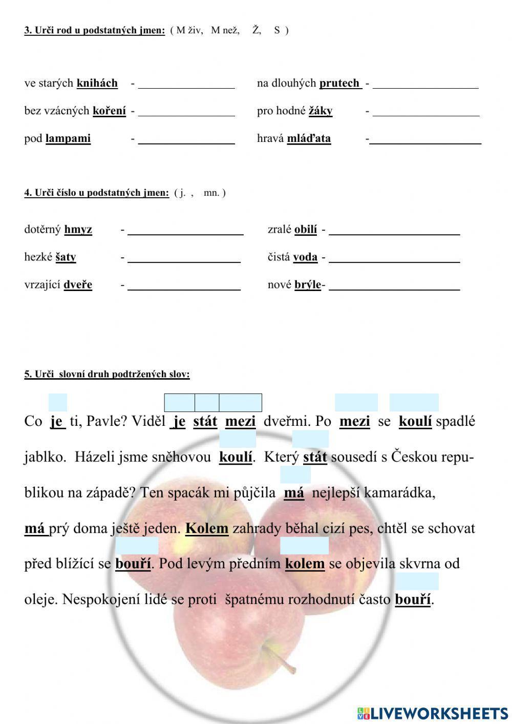 Vyjmenovaná slova, slovní druhy, jmenné kategorie