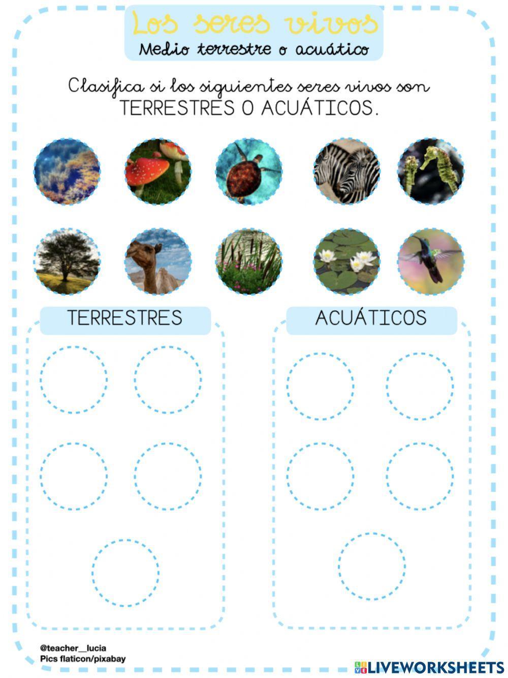 Seres vivos: terrestres o acuáticos