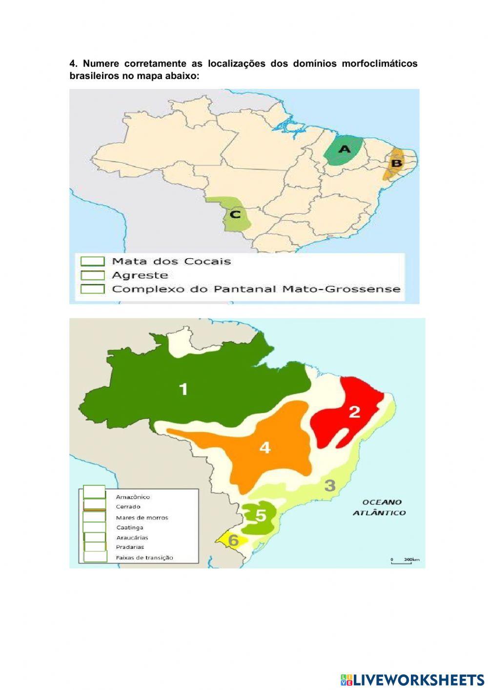 Domínio morfoclimático brasileiro