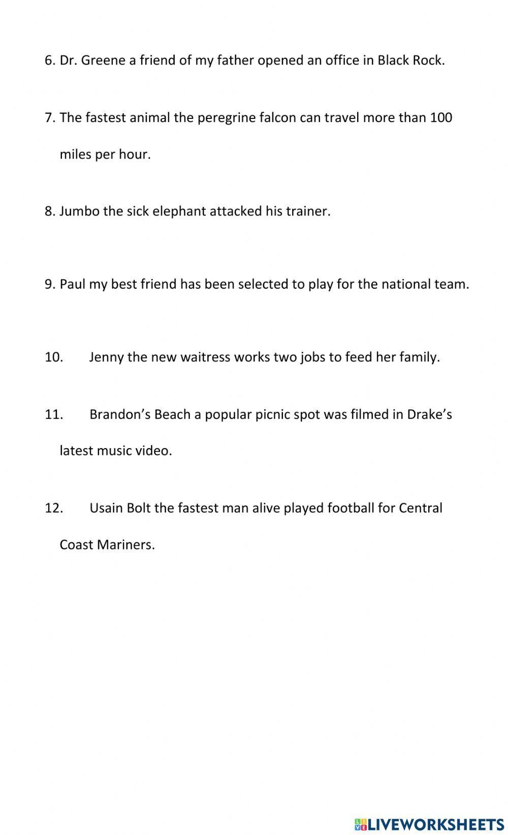 Punctuation: Commas (words and phrases in apposition)