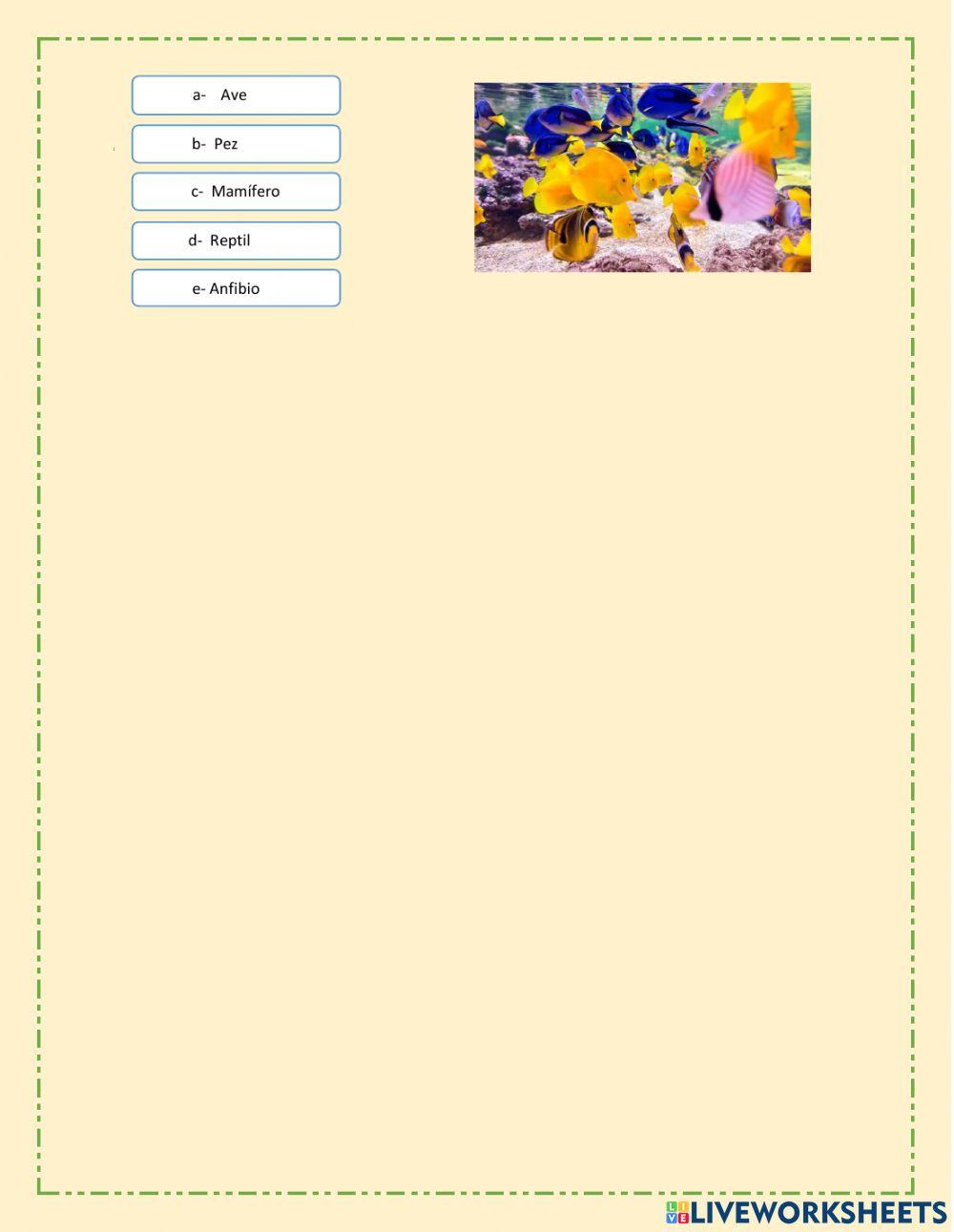 Animales Vertebrados