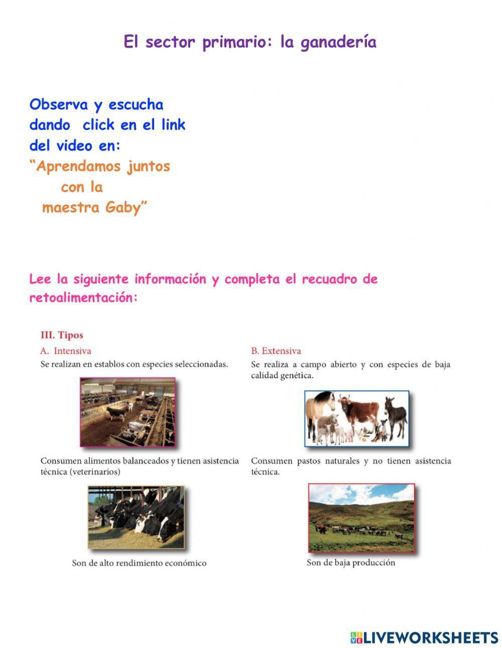 El sector primario: La ganadería