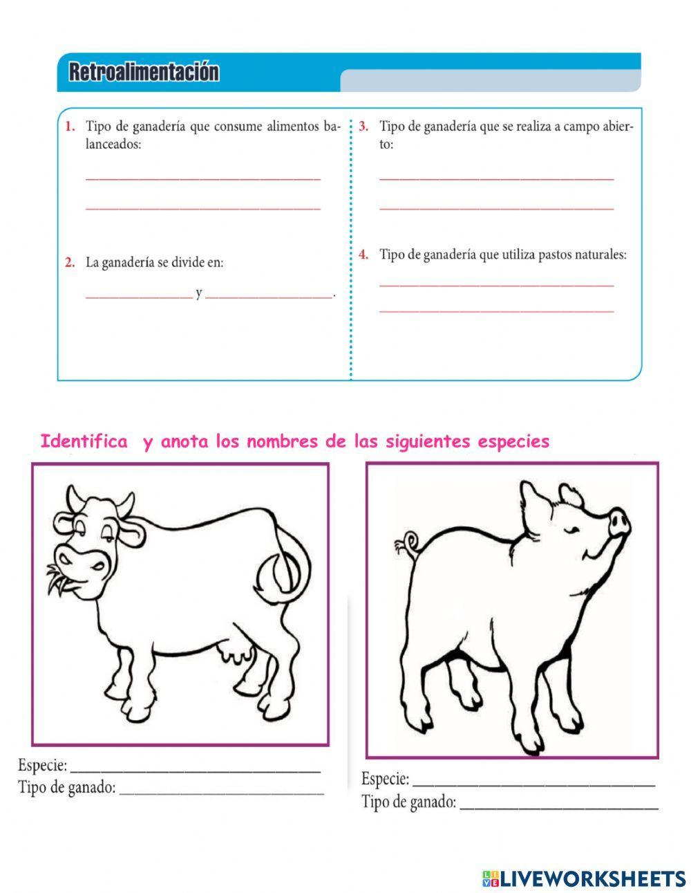 El sector primario: La ganadería