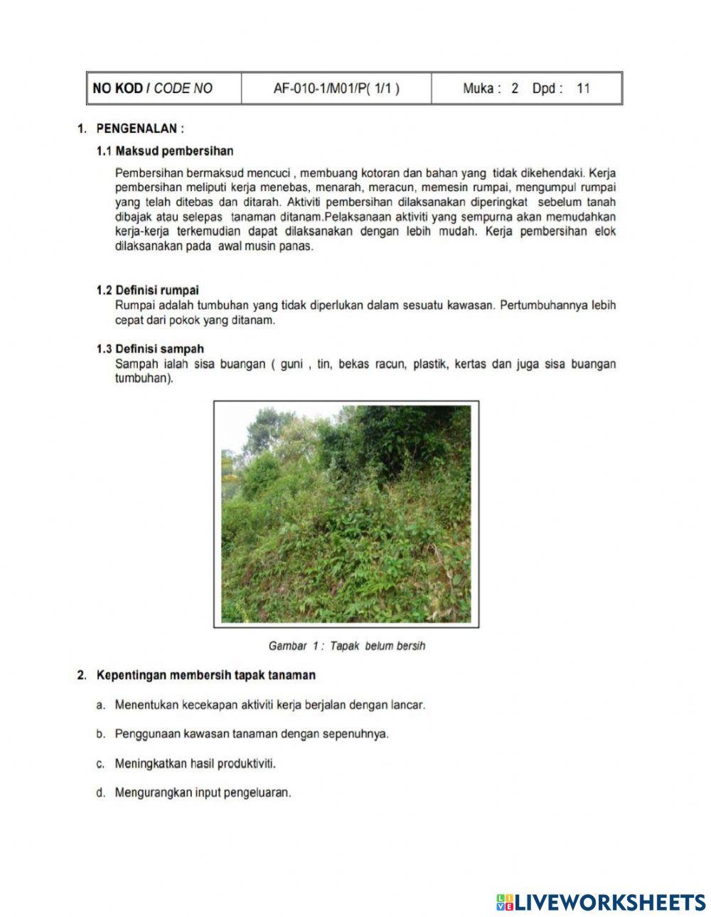 Af-010-1 pekerja am tanaman