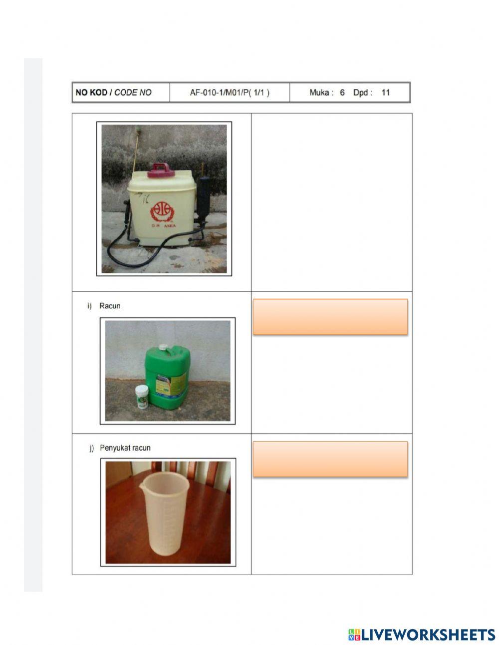 Af-010-1 pekerja am tanaman