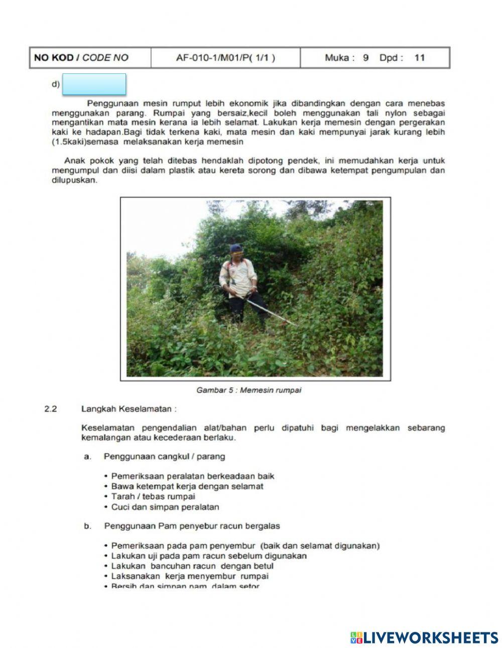 Af-010-1 pekerja am tanaman