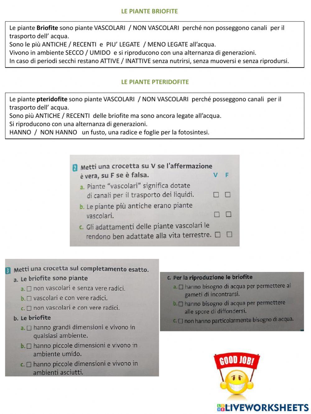 Il regno delle piante