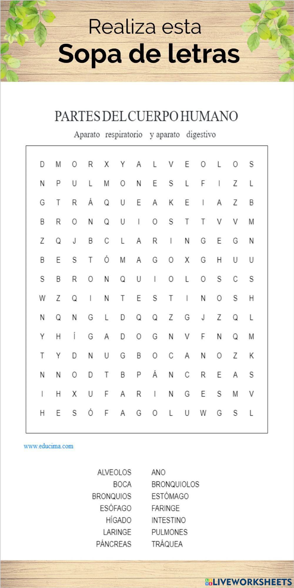 Aparatos digestivo, respiratorio, circulatorio y excretor