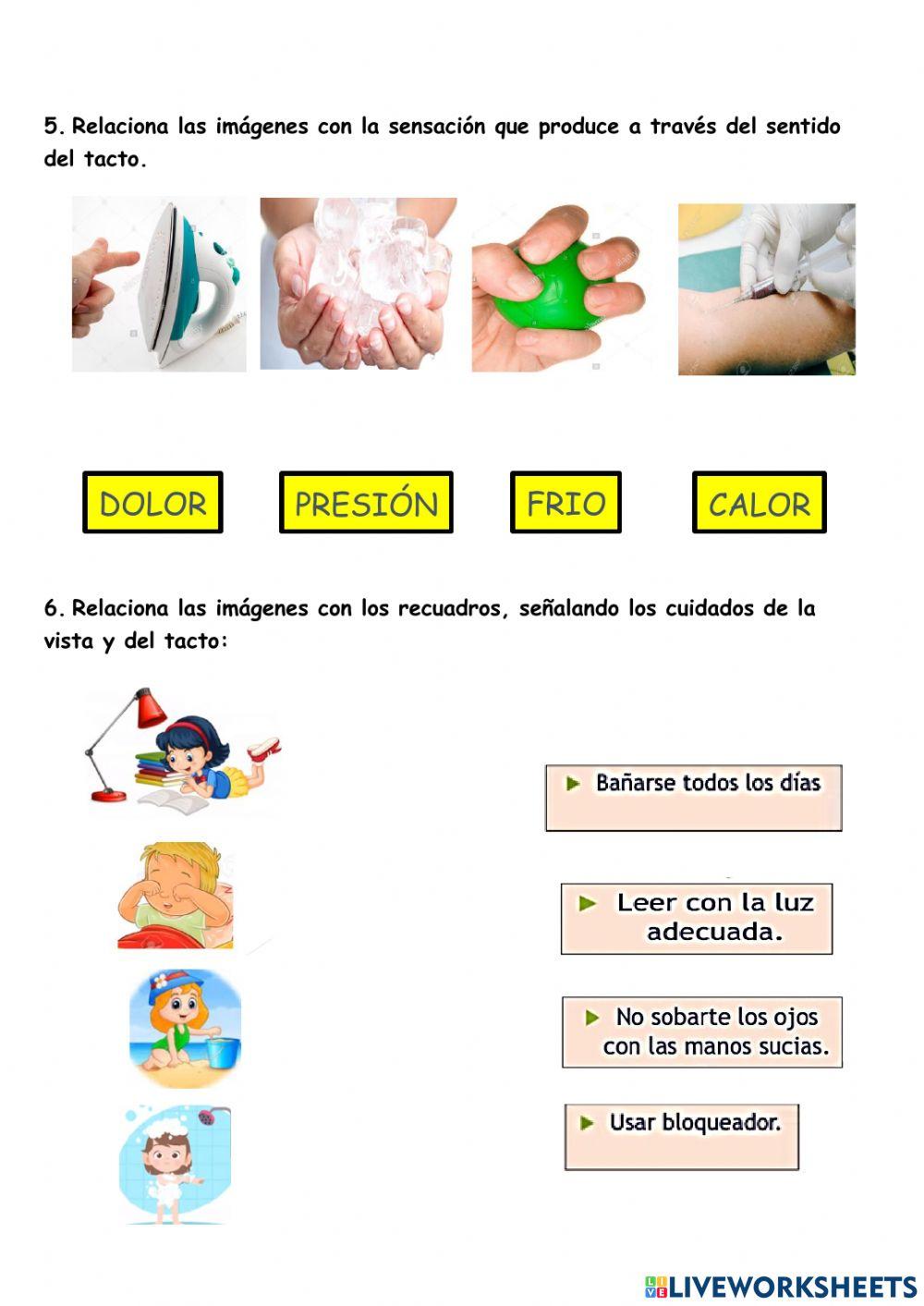 Sfs - sentido del tacto y vista