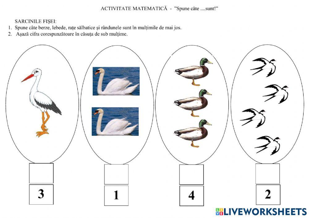 Spune câte... sunt?