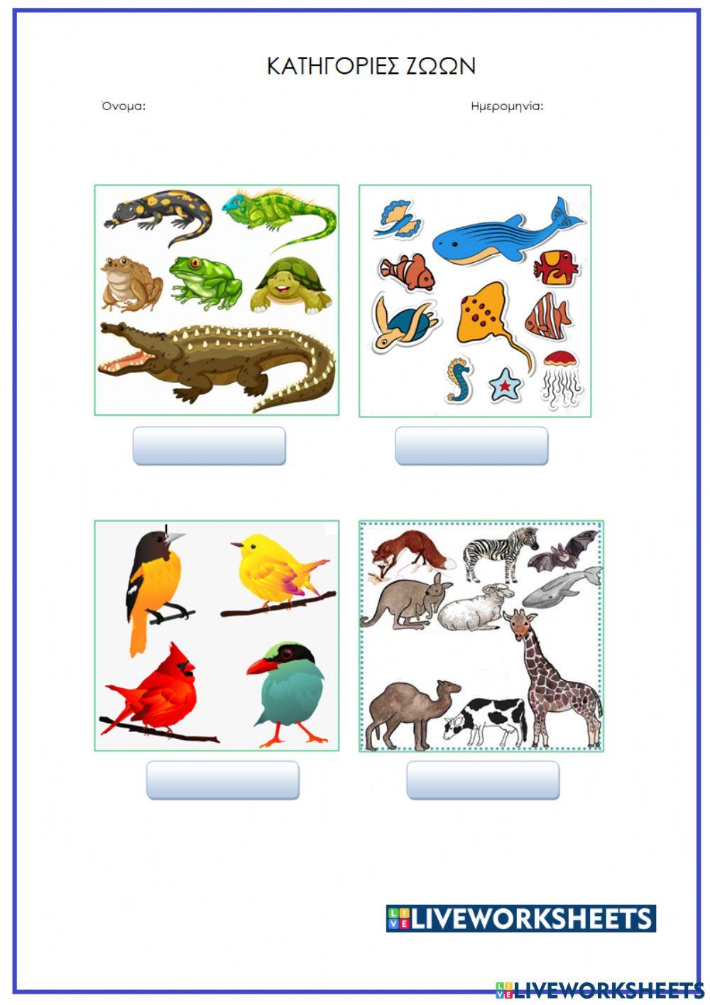 Κατηγορίες ζώων