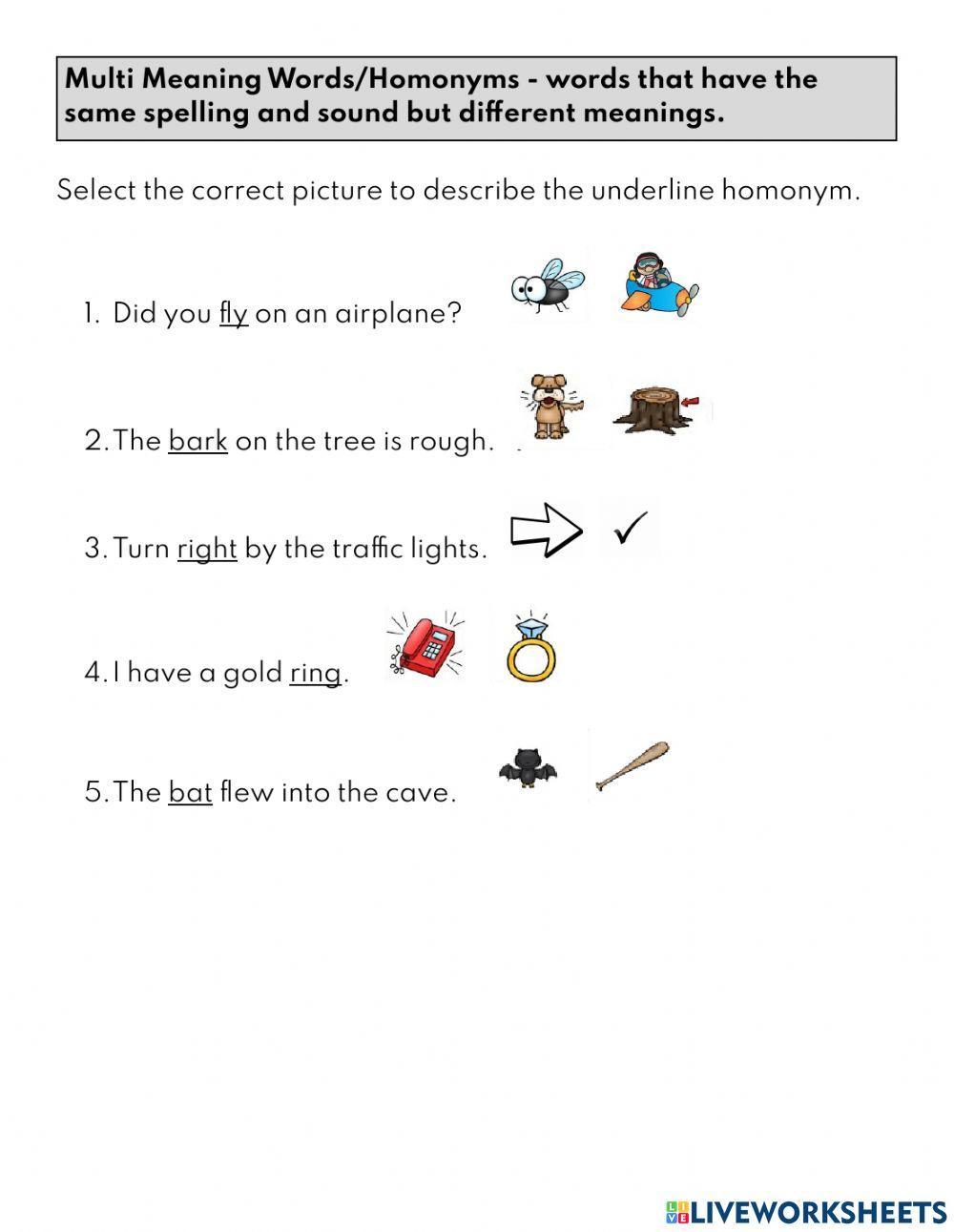 Homphones & Homonyms