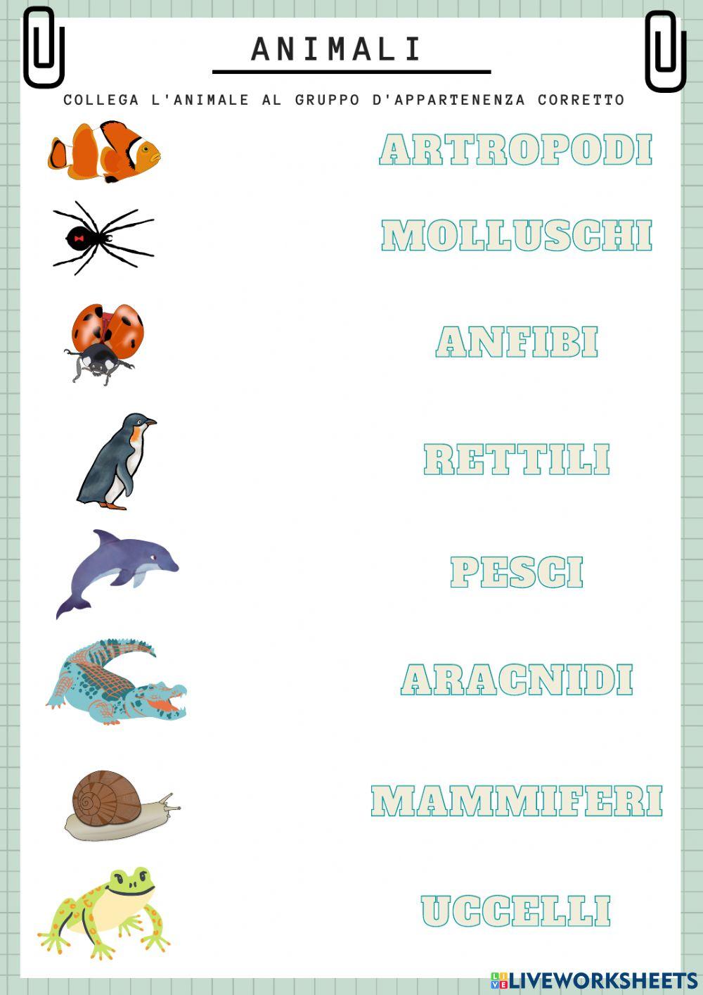 Animali - gruppi di invertebrati e vertebrati