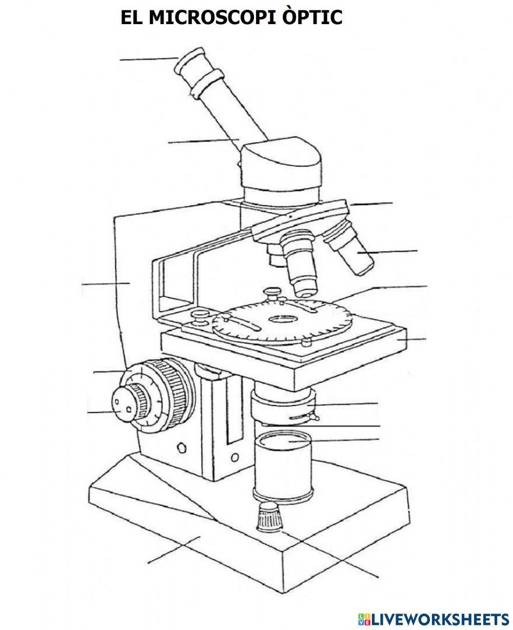 Parts del microscopi