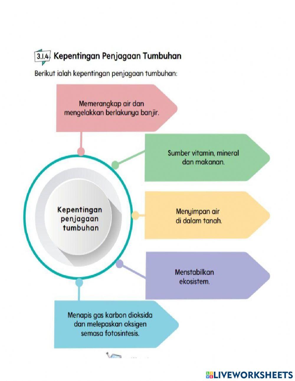 Unit 3: tumbuhan