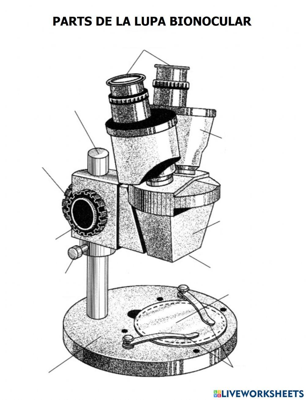 Parts lupa binocular