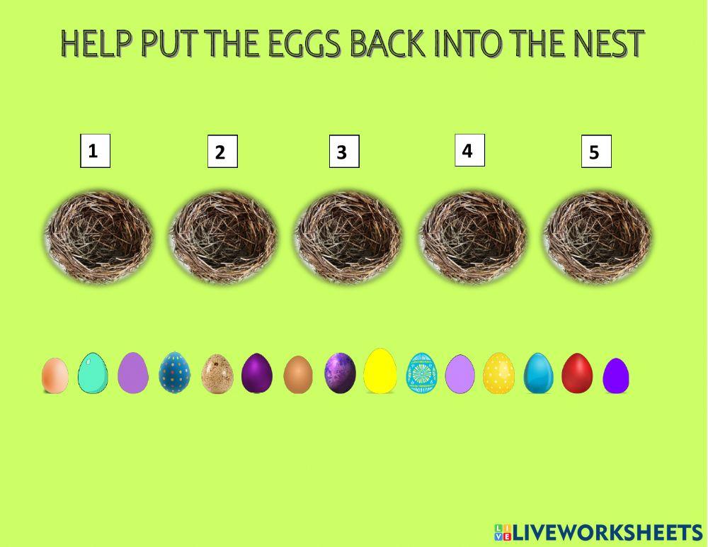 Eggs in the Nest