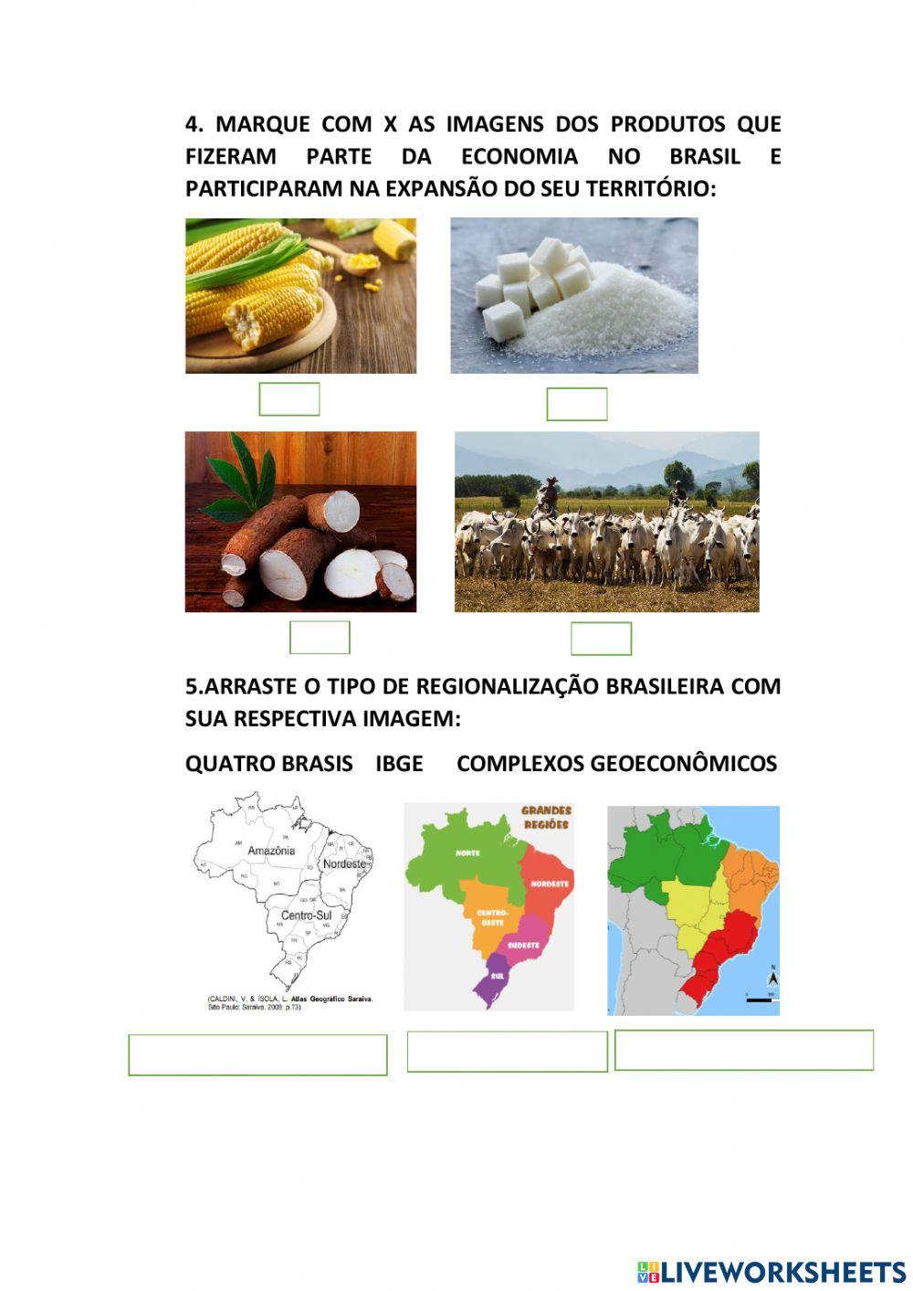 Conceitos geográficos e território brasileiro