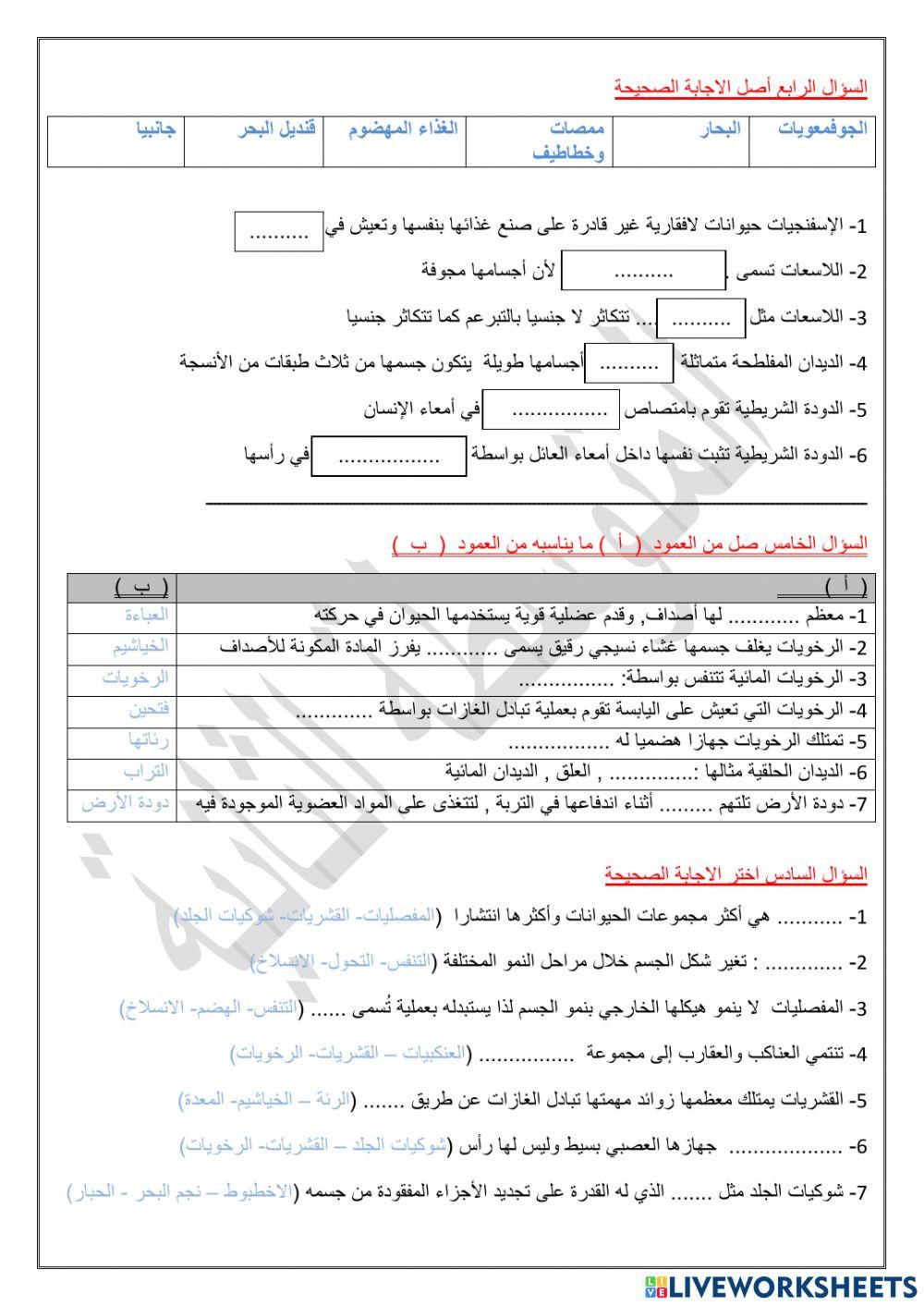 مراجعة اللافقاريات