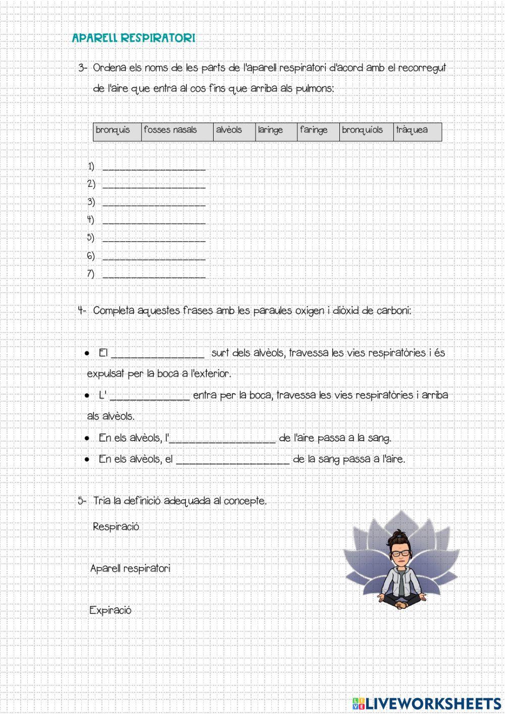 Aparell respiratòri