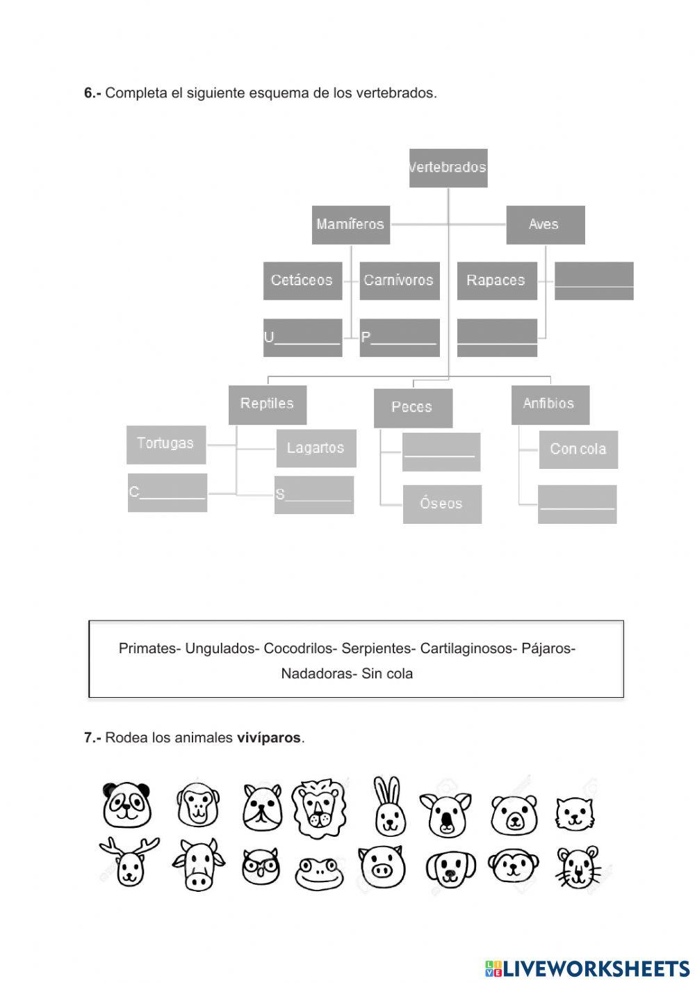 Animales vertebrados e invertebrados