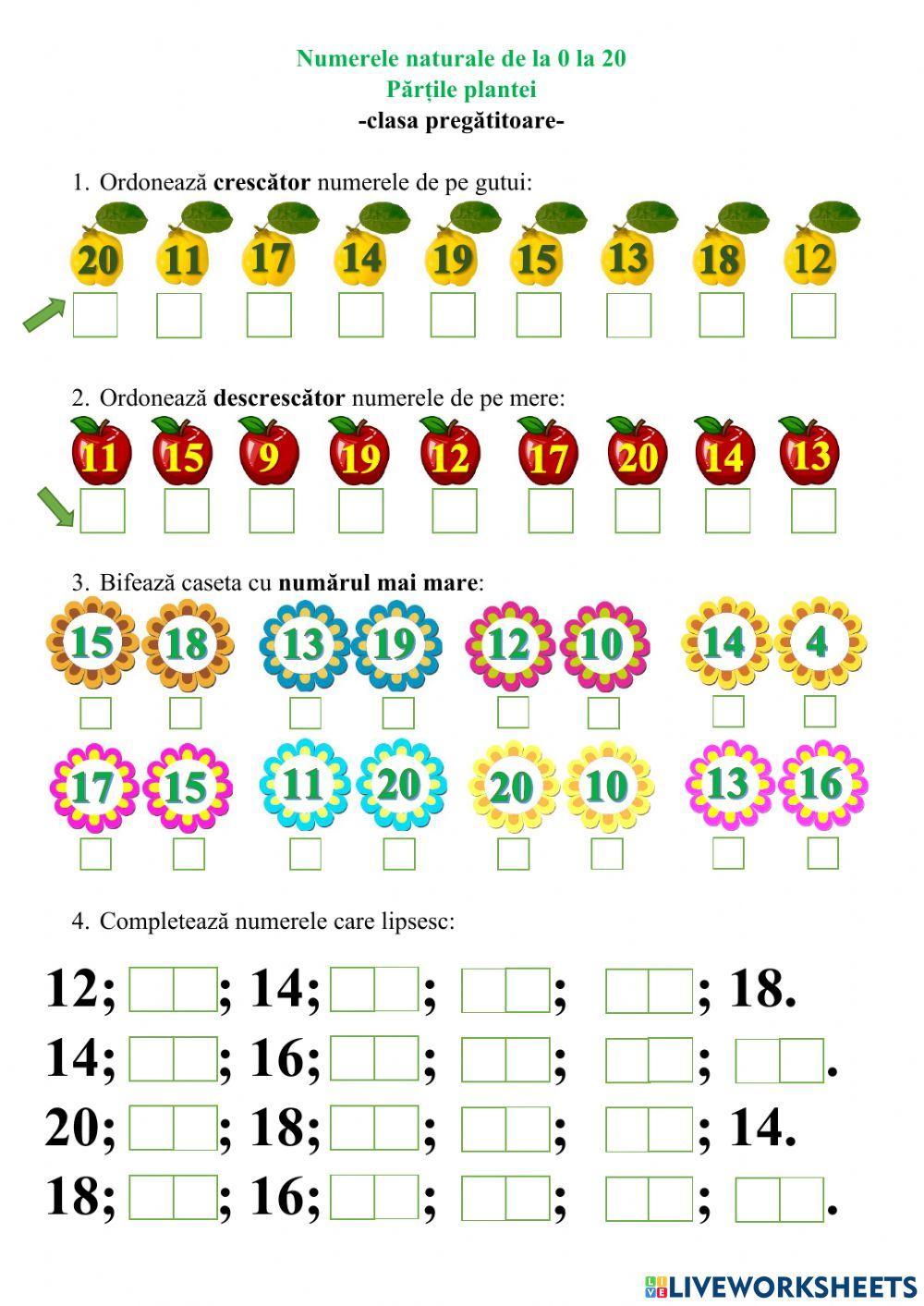 Numerele naturale de la 0 la 20. Părțile plantei