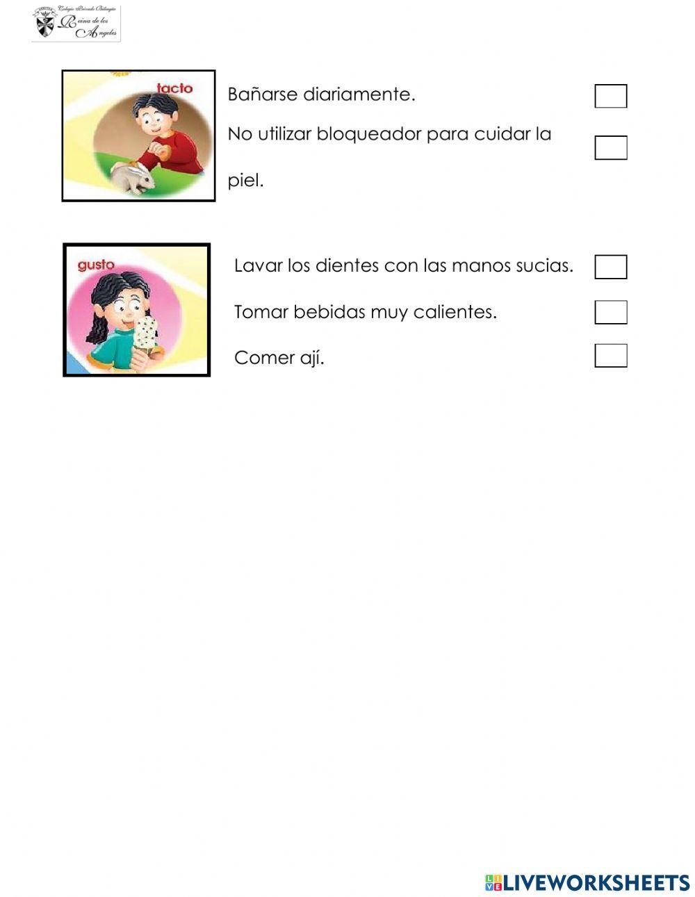 Cuidado de los sentidos