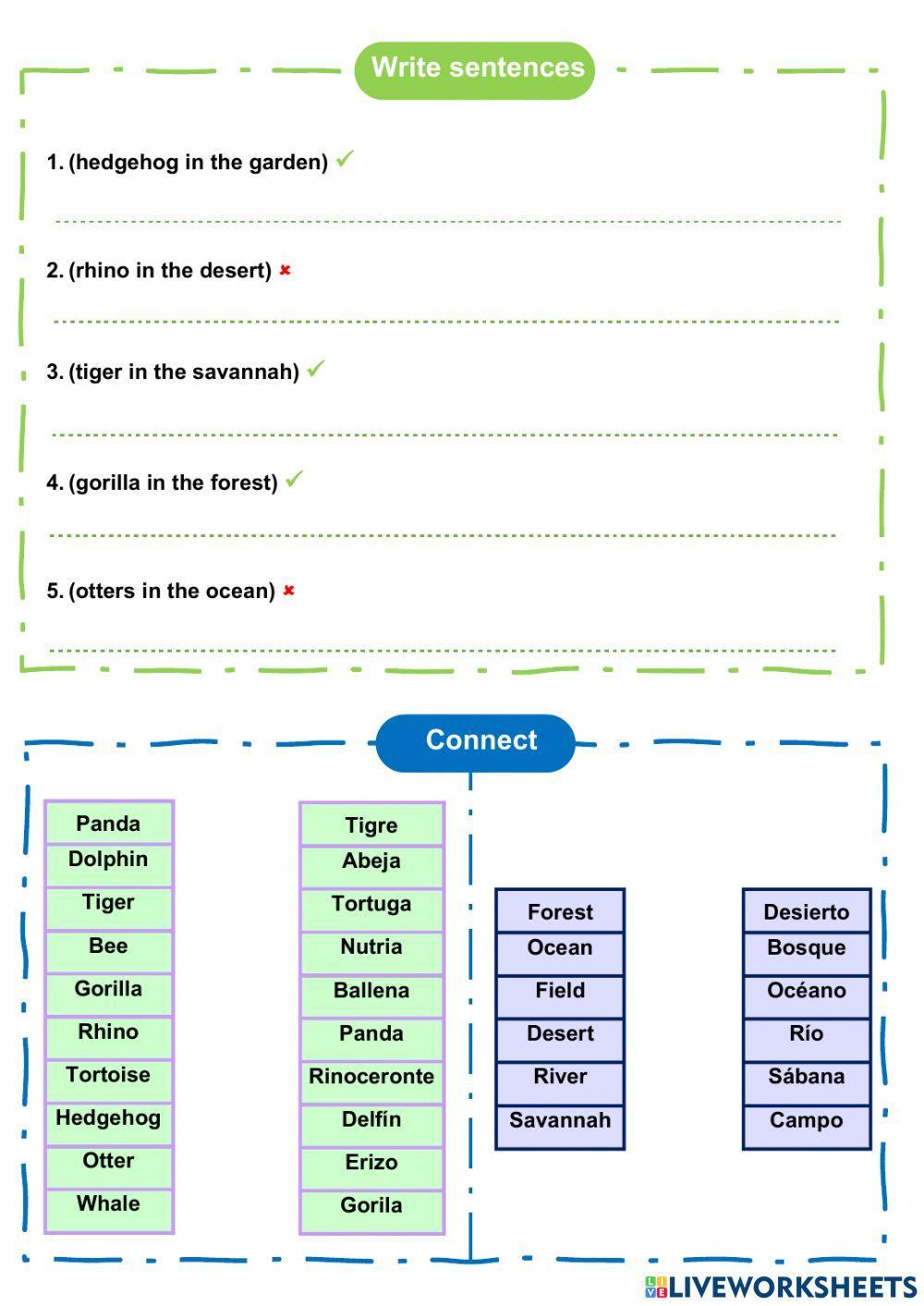 There is-there are. Some, any, many. Countable-Uncountable