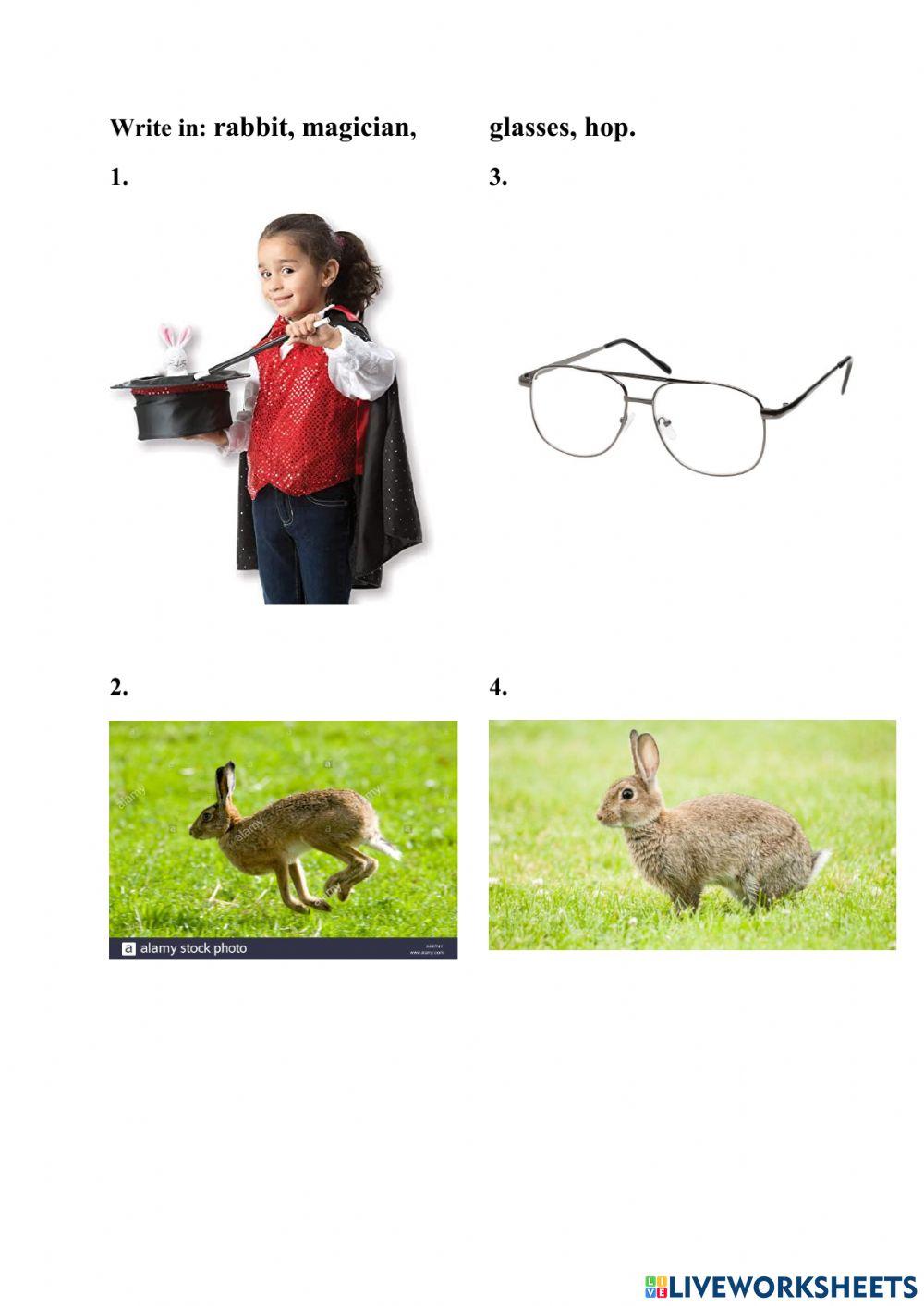 Some words faiyland 3 unit 8b