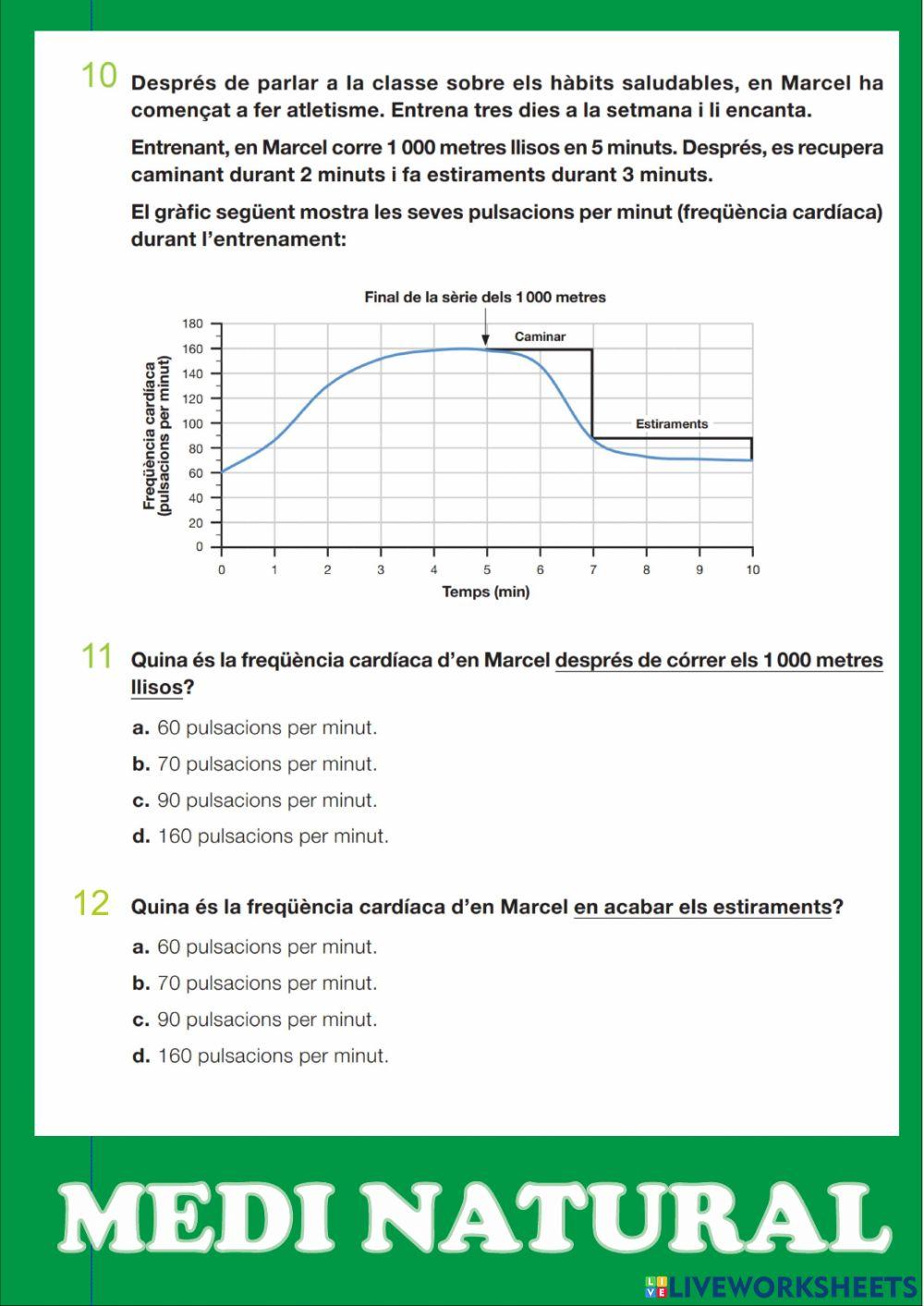 Medi Natural - La matèria i altres