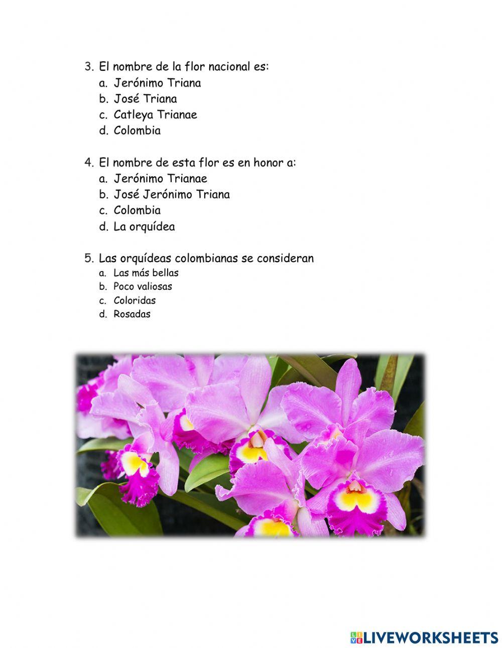 Comprensión de lectura