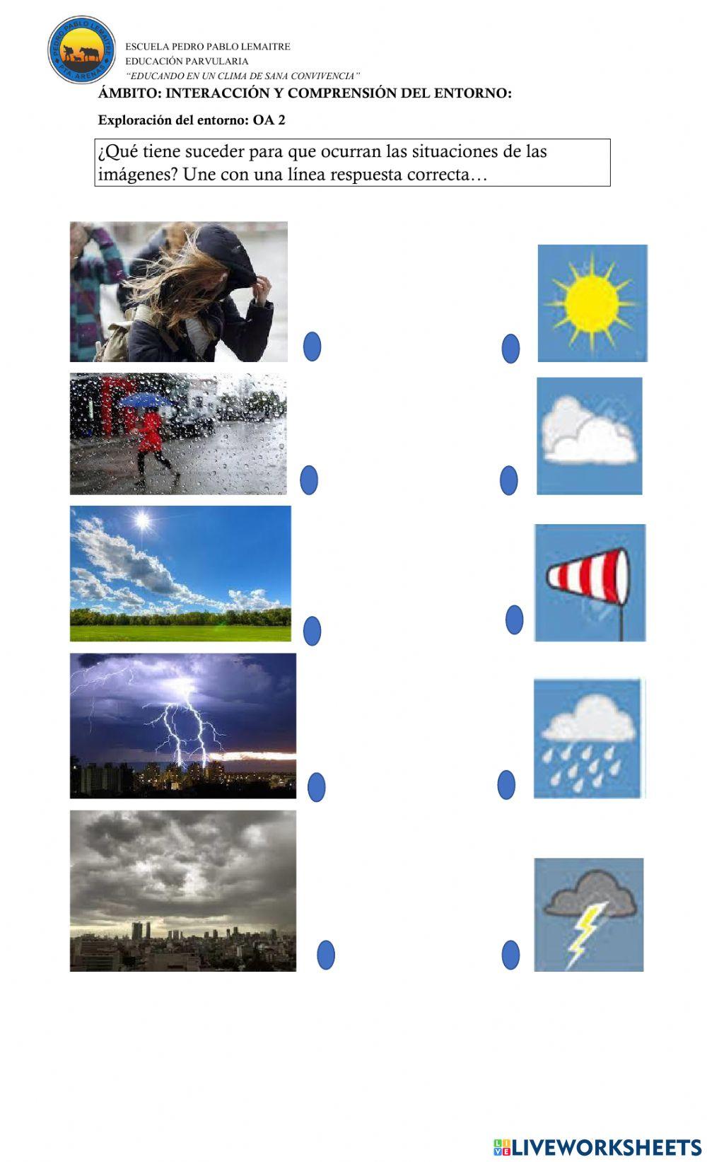 Prueba de diagnóstico Prebásica PPL1