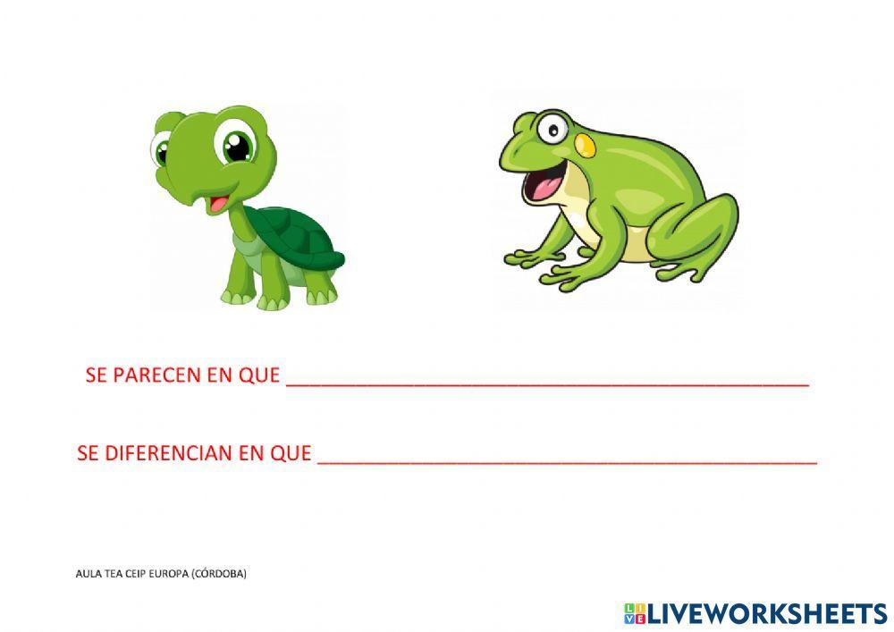 EN QUÉ SE PARECEN- EN QUÉ SE DIFERENCIAN (compara-contrasta)