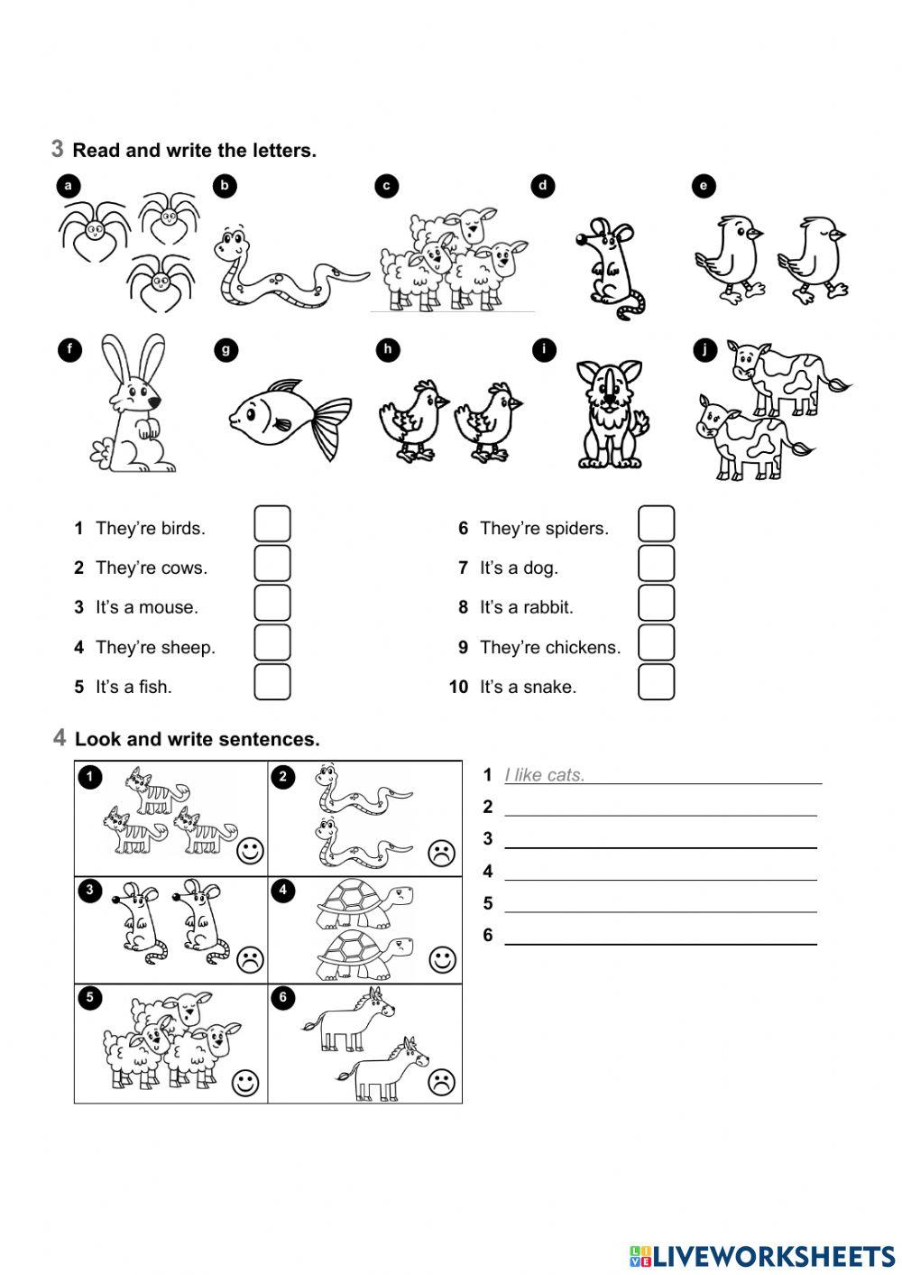 Test unidad 4 Ingles