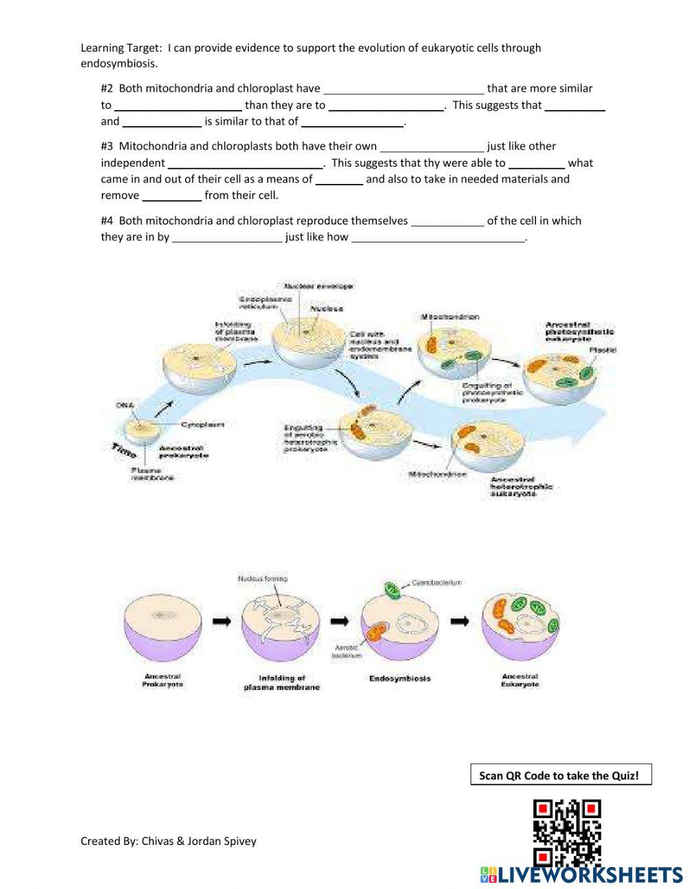 Endosymbiotic Theory Video Notes with Quiz online exercise for Live