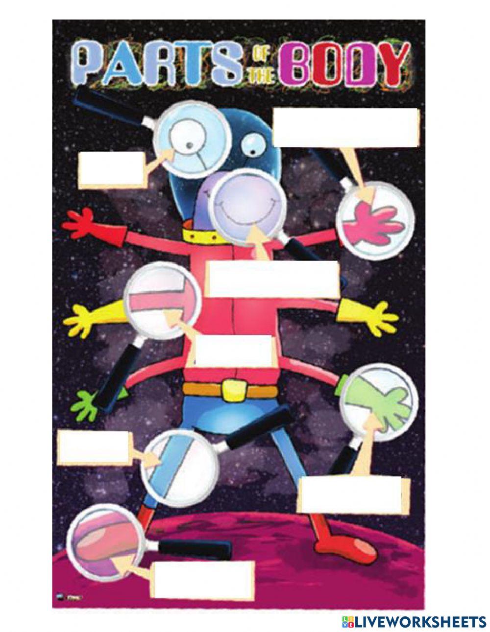 Parts of the body - R3B1N