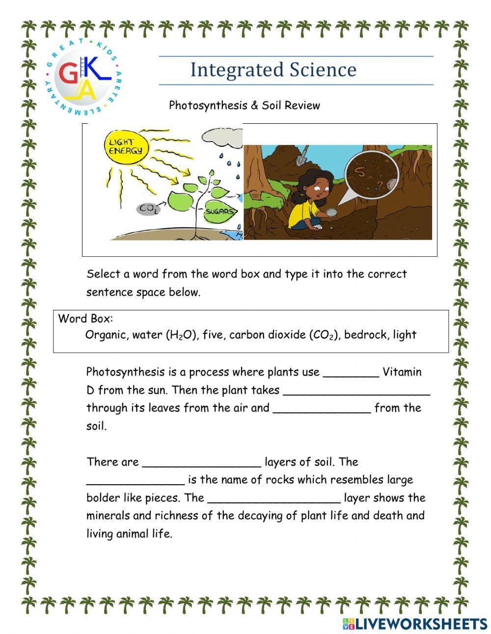 Photosynthesis & Soil Review