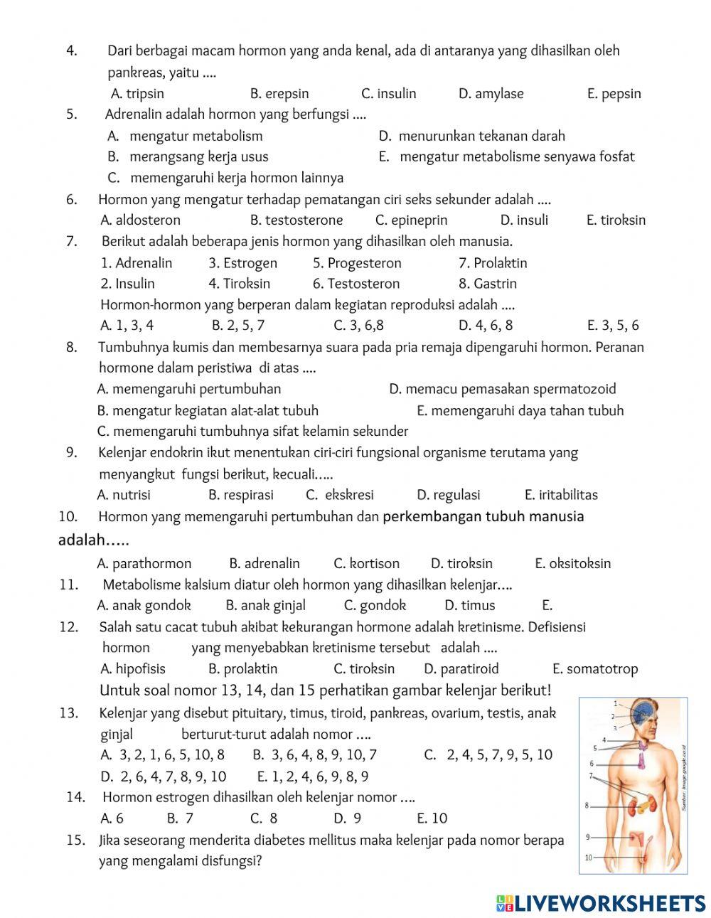 Lks 3.10.2 Sistem Hormon pada Manusia