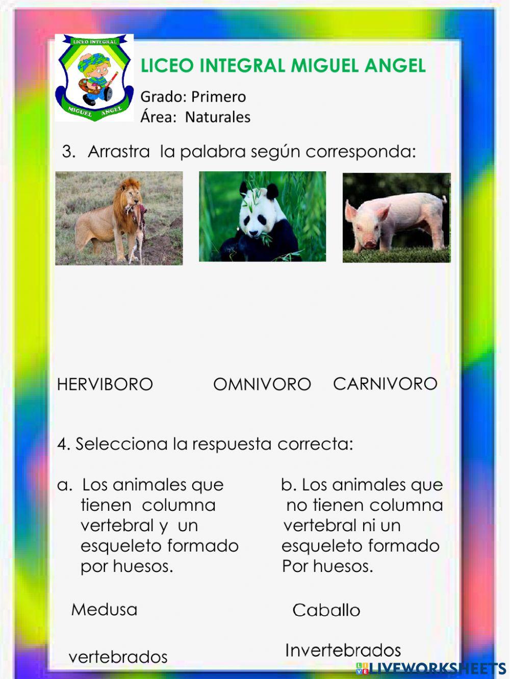 NATURALES PRIMERO CLASIFICACION DE LOS ANIMALES