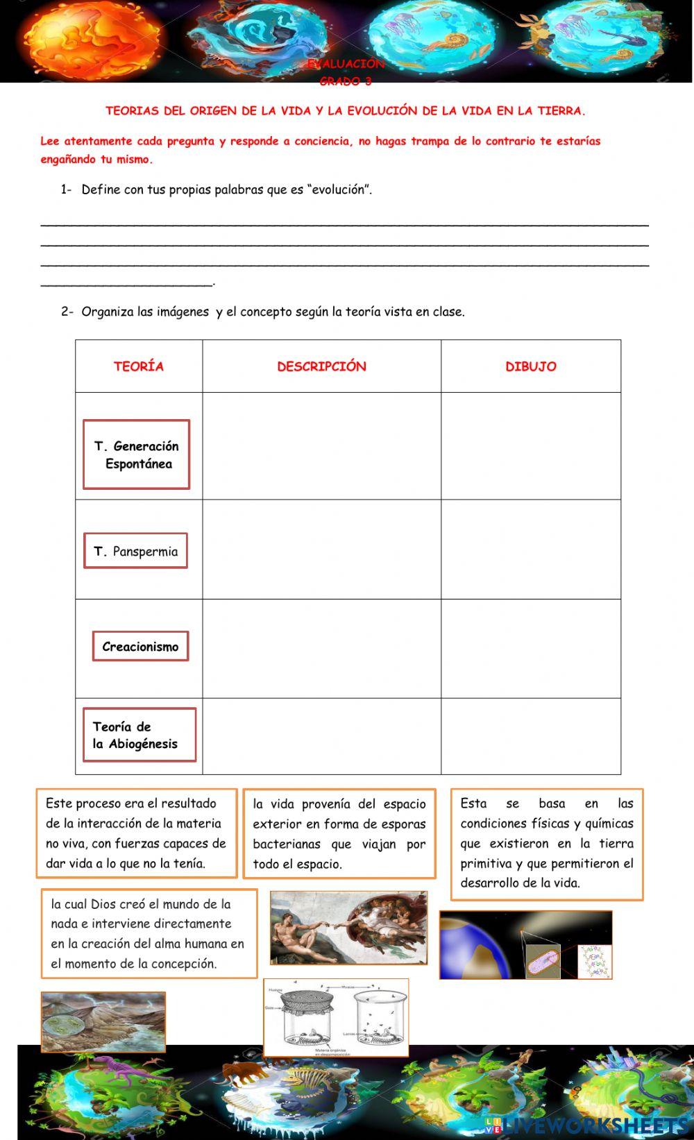 Evolucion y ori… | Free Interactive Worksheets | 818858, image size:1000x1643