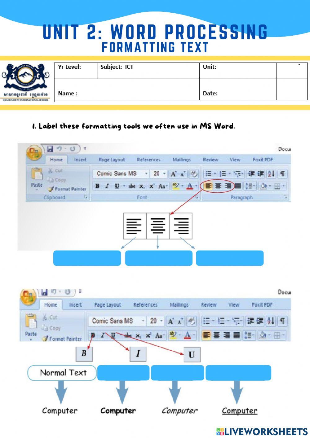 Formatting Text in MS Word